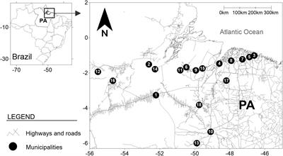 Spread of Human T-Lymphotropic Virus 1 and 2 Among Relatives of People Who Use Illicit Drugs in Northern Brazil